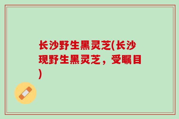 长沙野生黑灵芝(长沙现野生黑灵芝,受瞩目) 长沙野生黑灵芝(长沙现野生黑灵芝,受瞩目)