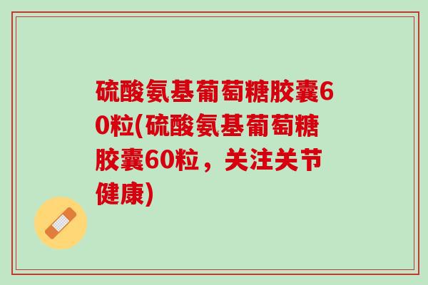 硫酸氨基葡萄糖胶囊60粒(硫酸氨基葡萄糖胶囊60粒，关注关节健康)