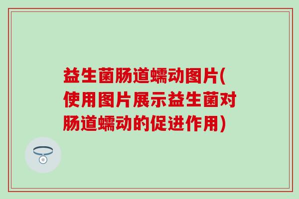 益生菌肠道蠕动图片(使用图片展示益生菌对肠道蠕动的促进作用)