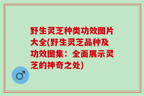 野生灵芝种类功效图片大全(野生灵芝品种及功效图集：全面展示灵芝的神奇之处)