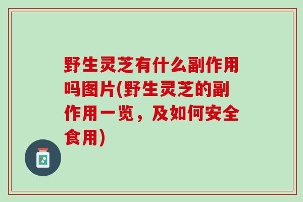 野生灵芝有什么副作用吗图片(野生灵芝的副作用一览，及如何安全食用)