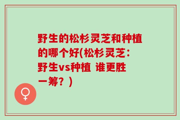 野生的松杉灵芝和种植的哪个好(松杉灵芝：野生vs种植 谁更胜一筹？)