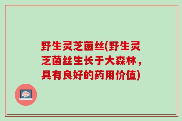 野生灵芝菌丝(野生灵芝菌丝生长于大森林，具有良好的药用价值)