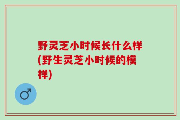 野灵芝小时候长什么样(野生灵芝小时候的模样)