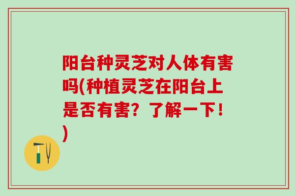 阳台种灵芝对人体有害吗(种植灵芝在阳台上是否有害？了解一下！)
