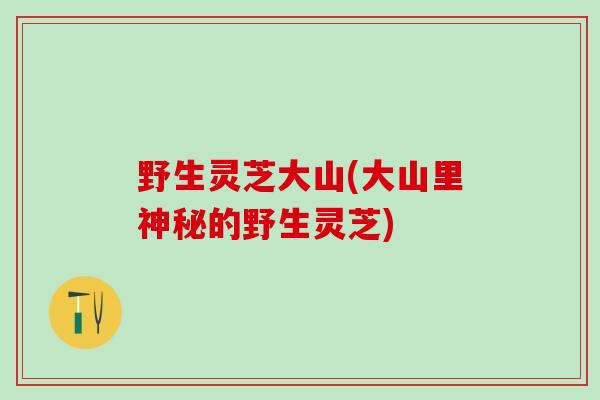 野生灵芝大山(大山里神秘的野生灵芝)