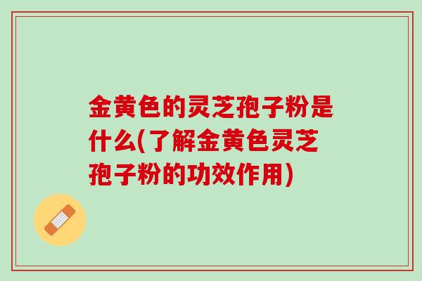 金黄色的灵芝孢子粉是什么(了解金黄色灵芝孢子粉的功效作用)