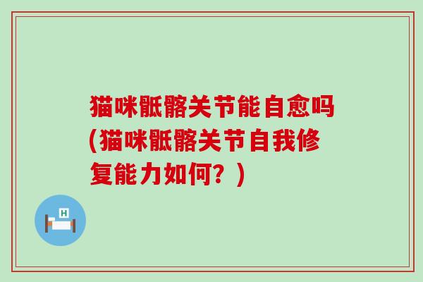 猫咪骶髂关节能自愈吗(猫咪骶髂关节自我修复能力如何？)