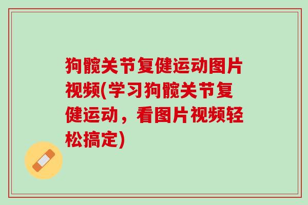 狗髋关节复健运动图片视频(学习狗髋关节复健运动，看图片视频轻松搞定)