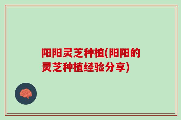 阳阳灵芝种植(阳阳的灵芝种植经验分享)