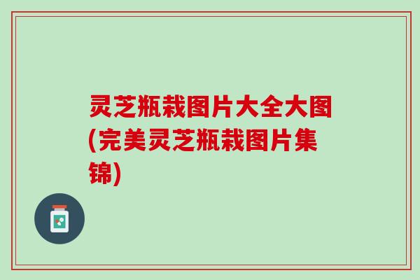 灵芝瓶栽图片大全大图(完美灵芝瓶栽图片集锦)