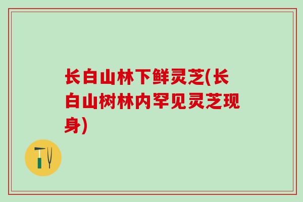 长白山林下鲜灵芝(长白山树林内罕见灵芝现身)