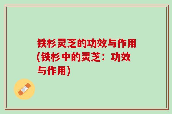 铁杉灵芝的功效与作用(铁杉中的灵芝：功效与作用)