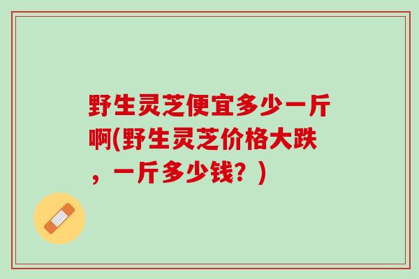 野生灵芝便宜多少一斤啊(野生灵芝价格大跌，一斤多少钱？)