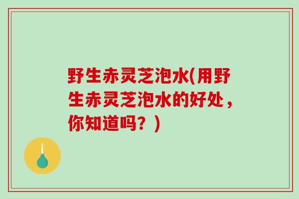 野生赤灵芝泡水(用野生赤灵芝泡水的好处，你知道吗？)