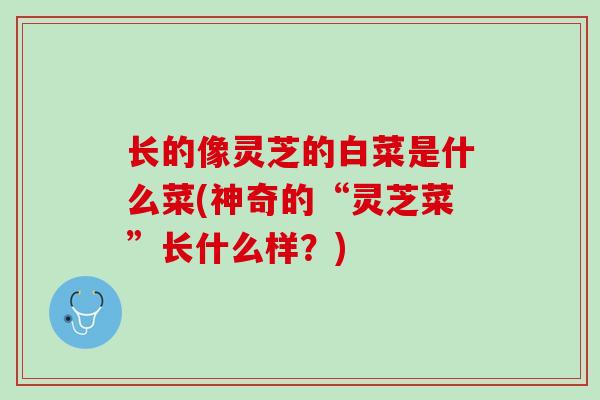 长的像灵芝的白菜是什么菜(神奇的“灵芝菜”长什么样？)