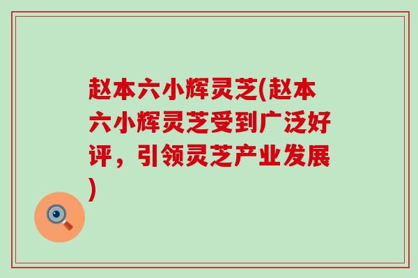 赵本六小辉灵芝(赵本六小辉灵芝受到广泛好评，引领灵芝产业发展)
