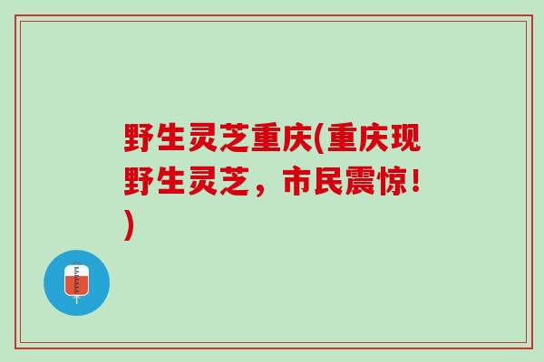 野生灵芝重庆(重庆现野生灵芝，市民震惊！)