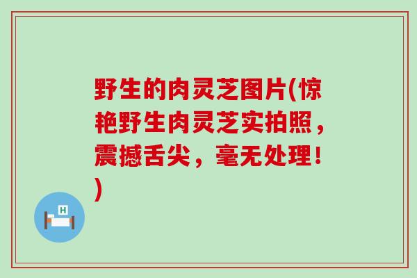 野生的肉灵芝图片(惊艳野生肉灵芝实拍照，震撼舌尖，毫无处理！)