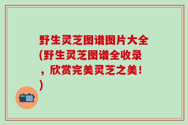 野生灵芝图谱图片大全(野生灵芝图谱全收录，欣赏完美灵芝之美！)