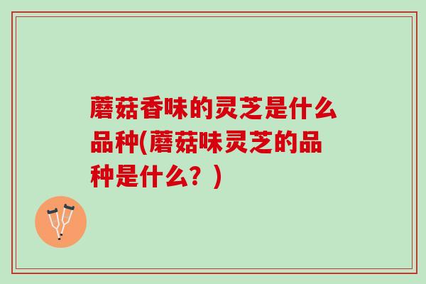 蘑菇香味的灵芝是什么品种(蘑菇味灵芝的品种是什么？)