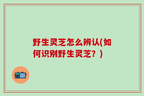 野生灵芝怎么辨认(如何识别野生灵芝？)