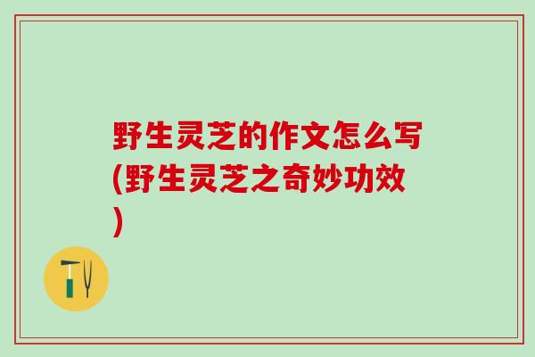 野生灵芝的作文怎么写(野生灵芝之奇妙功效)