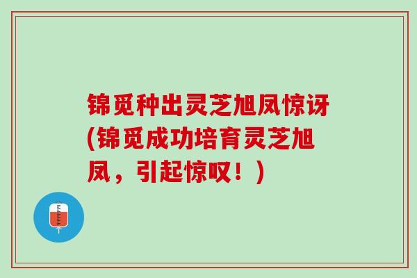 锦觅种出灵芝旭凤惊讶(锦觅成功培育灵芝旭凤,引起惊叹!) 锦觅种出灵芝旭凤惊讶(锦觅成功培育灵芝旭凤,引起惊叹!)