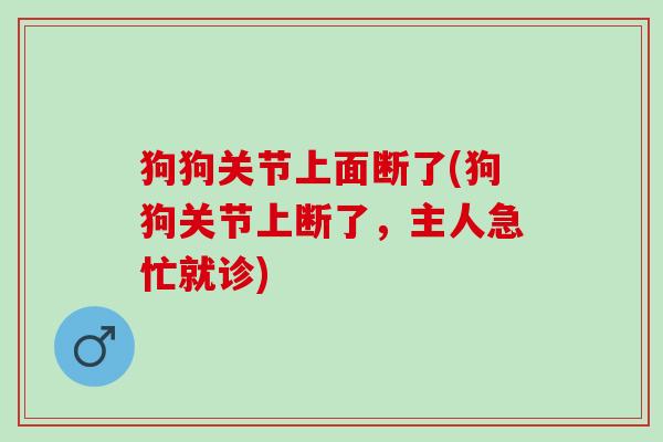狗狗关节上面断了(狗狗关节上断了，主人急忙就诊)
