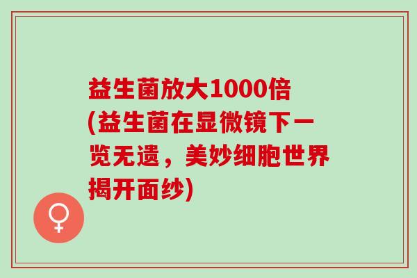 益生菌放大1000倍(益生菌在显微镜下一览无遗，美妙细胞世界揭开面纱)