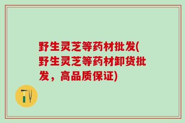 野生灵芝等药材批发(野生灵芝等药材卸货批发，高品质保证)