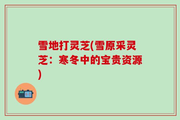 雪地打灵芝(雪原采灵芝：寒冬中的宝贵资源)