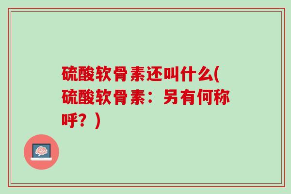 硫酸软骨素还叫什么(硫酸软骨素：另有何称呼？)