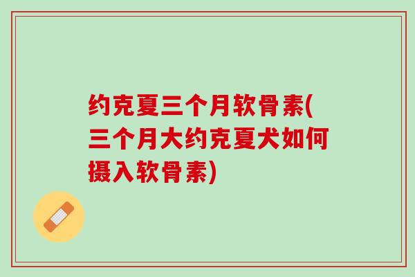 约克夏三个月软骨素(三个月大约克夏犬如何摄入软骨素)