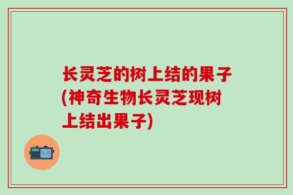 长灵芝的树上结的果子(神奇生物长灵芝现树上结出果子)