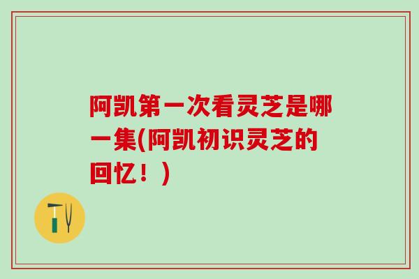 阿凯第一次看灵芝是哪一集(阿凯初识灵芝的回忆！)