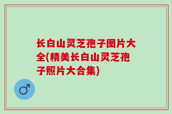 长白山灵芝孢子图片大全(精美长白山灵芝孢子照片大合集)