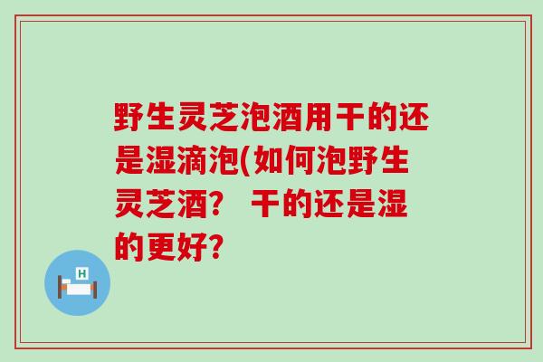 野生灵芝泡酒用干的还是湿滴泡(如何泡野生灵芝酒？ 干的还是湿的更好？
