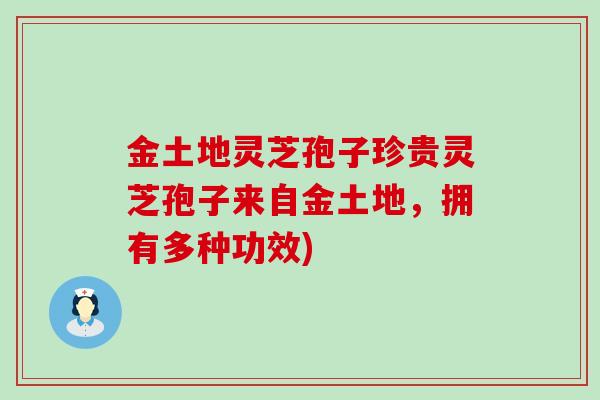 金土地灵芝孢子珍贵灵芝孢子来自金土地，拥有多种功效)