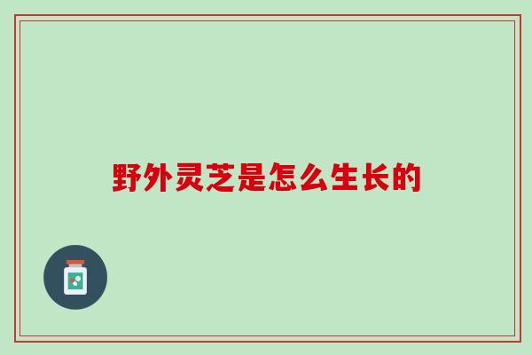 野外灵芝是怎么生长的