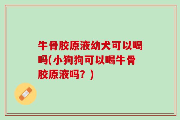 牛骨胶原液幼犬可以喝吗(小狗狗可以喝牛骨胶原液吗？)