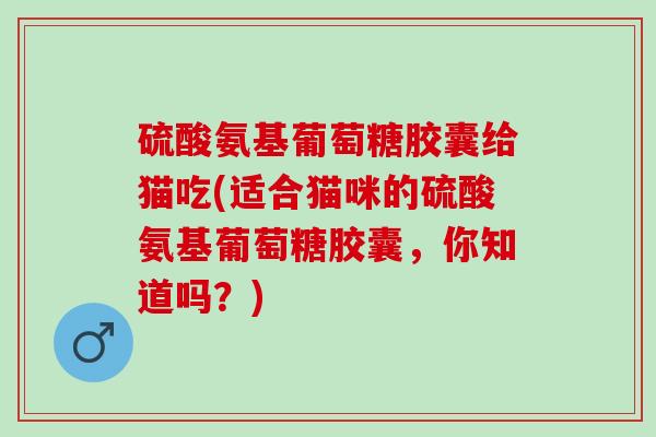 硫酸氨基葡萄糖胶囊给猫吃(适合猫咪的硫酸氨基葡萄糖胶囊，你知道吗？)