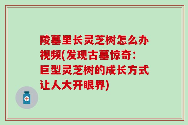 陵墓里长灵芝树怎么办视频(发现古墓惊奇：巨型灵芝树的成长方式让人大开眼界)
