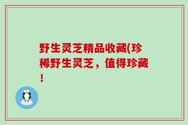 野生灵芝精品收藏(珍稀野生灵芝，值得珍藏！