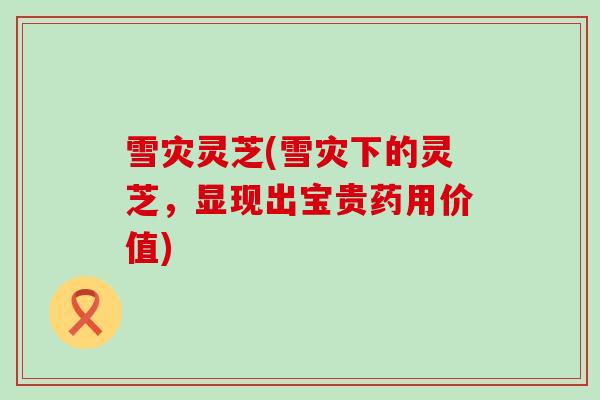 雪灾灵芝(雪灾下的灵芝，显现出宝贵药用价值)