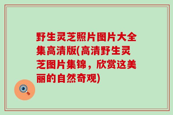 野生灵芝照片图片大全集高清版(高清野生灵芝图片集锦，欣赏这美丽的自然奇观)
