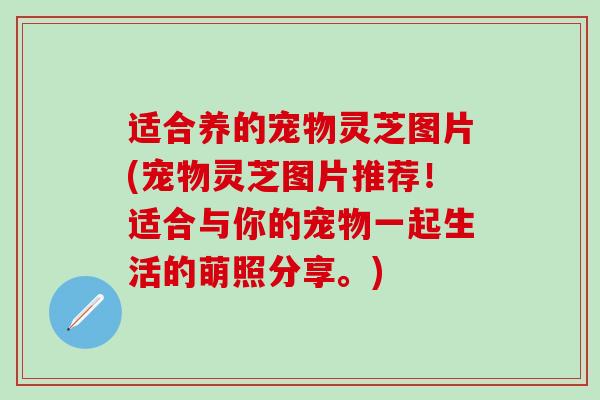 适合养的宠物灵芝图片(宠物灵芝图片推荐！适合与你的宠物一起生活的萌照分享。)
