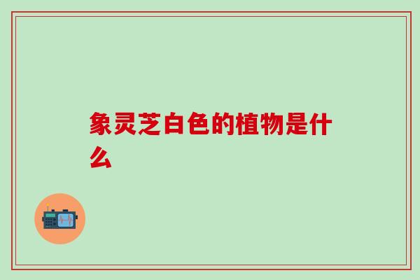 象灵芝白色的植物是什么