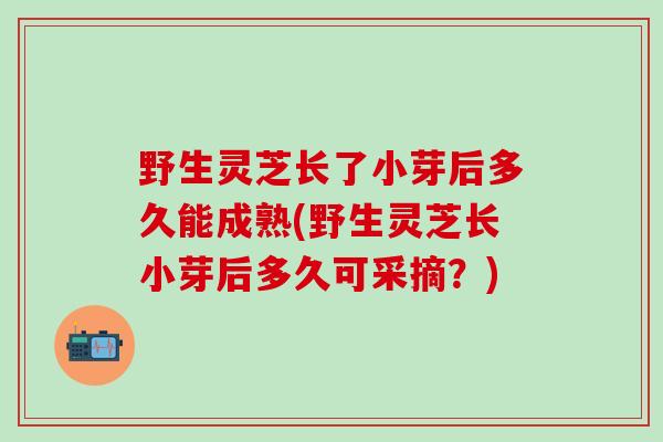 野生灵芝长了小芽后多久能成熟(野生灵芝长小芽后多久可采摘？)