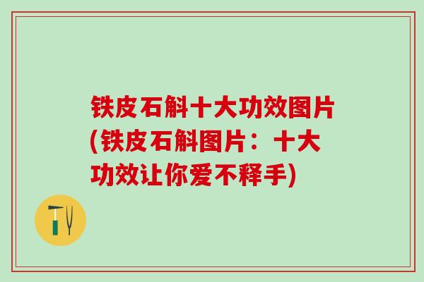 铁皮石斛十大功效图片(铁皮石斛图片：十大功效让你爱不释手)